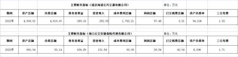 ?？诠患瘓F(tuán)及下屬各子公司2022年度信息公開財務(wù)主要指標(biāo)明細(xì)2_副本.png